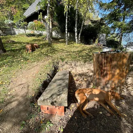 Nati - Pet Friendly, Bbq, Huge Fenced Jard Chalet *