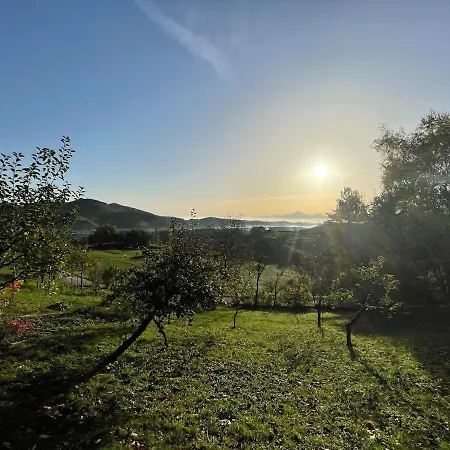 Nati - Pet Friendly, Bbq, Huge Fenced Jard Stranice