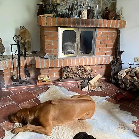 Nati - Pet Friendly, Bbq, Huge Fenced Jard Chalet *