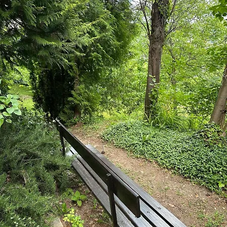 Nati - Pet Friendly, Bbq, Huge Fenced Jard *